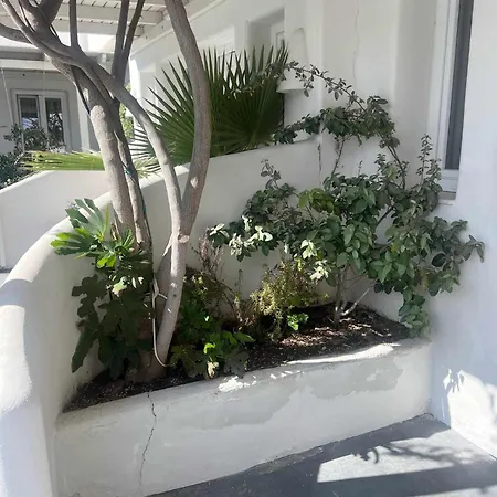 Ambience Hotel 4*